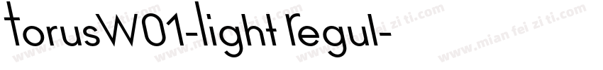 TorusW01-Light Regul字体转换